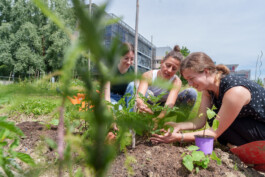 Unschärfe im Fokus